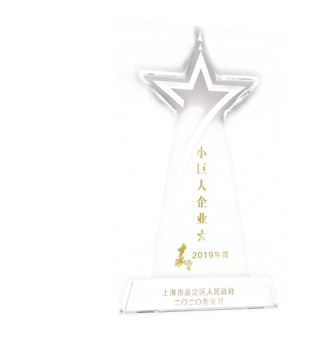 Jiading 2019 Little Giant Enterprise