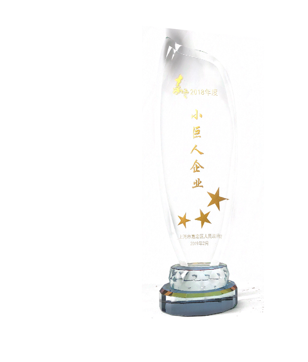 Jiading 2018 Little Giant Enterprise